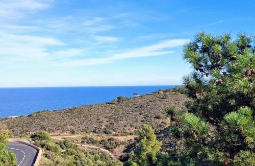Banyuls-sur-Mer Apartamento | Appartement à Banyuls-sur-Mer - Calme et Confort pour 4 Pers, Parking Inclus - FR-1-309-6