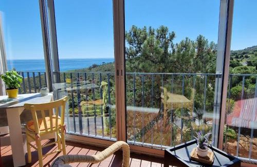 Banyuls-sur-Mer Apartamento | Appartement à Banyuls-sur-Mer - Calme et Confort pour 4 Pers, Parking Inclus - FR-1-309-6
