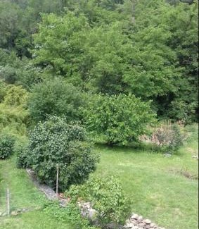 Le Martinet Apartamento | Appartement 100m2 avec grand terrain