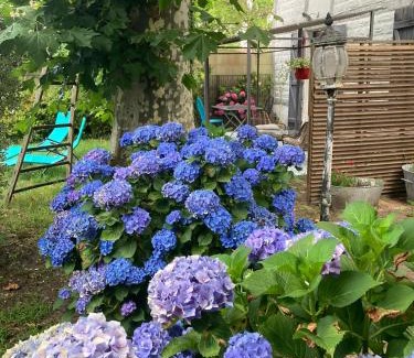 Saint-Julien-en-Born Apartamento | Appartement 2/3 personnes à 10 minutes de Contis plage (Saint Julien en Born)