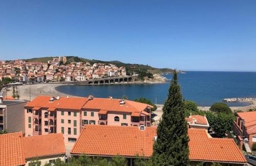 Banyuls-sur-Mer Apartamento | Appartement 2 pièces avec cabine, climatisé et parking privé à 200m de la plage - FR-1-225C-78