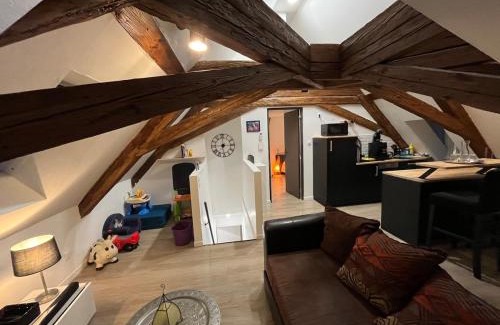 Schiltigheim Apartamento | Appartement 2 pièces atypique