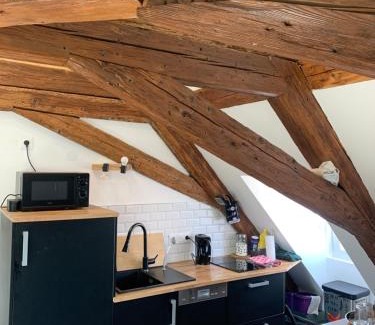 Schiltigheim Apartamento | Appartement 2 pièces atypique