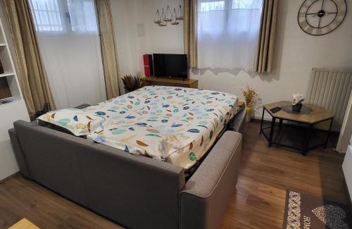Vosges Apartamento | Appartement 2 pièces près du lac de Bouzey