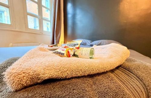 Besancon Old Town Apartamento | Appartement 3 prsn Au pied de la Citadelle