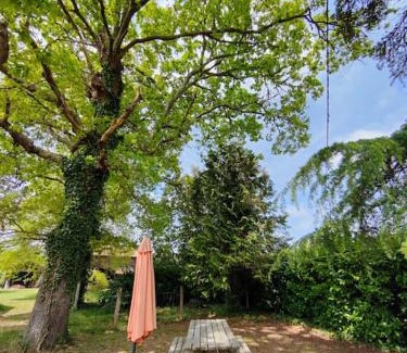 Saint-Julien-en-Born Apartamento | Appartement 4/6 pers, jardin, 6 km de la plage