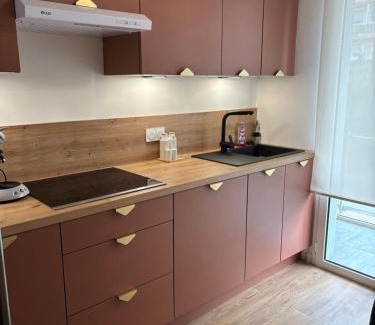 Plaine de la Brague Apartamento | Appartement 5min de la plage