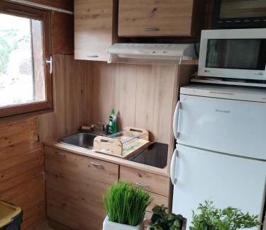 Allos Apartamento | Appartement 8 couchages 45 m2 tout confort à la foux d'allos