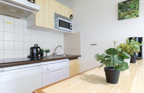 Saint-Lary-Soulan Apartamento | Appartement 8 personnes avec balcon sud, navette télécabine à proximité, Saint-Lary-Soulan - FR-1-296-388