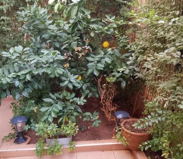 Tassoultante Apartamento | Appartement aux portes de Marrakech