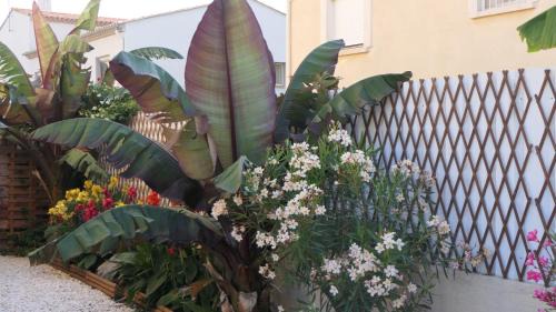 Agde Apartamento | Appartement avec piscine et parking privé