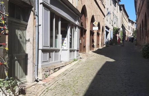 Cordes-sur-Ciel Apartamento | APPARTEMENT BACCHUS