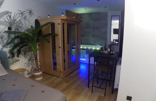 Richebourg - Saint-Clement Apartamento | Appartement balnéothérapie et sauna hyper centre
