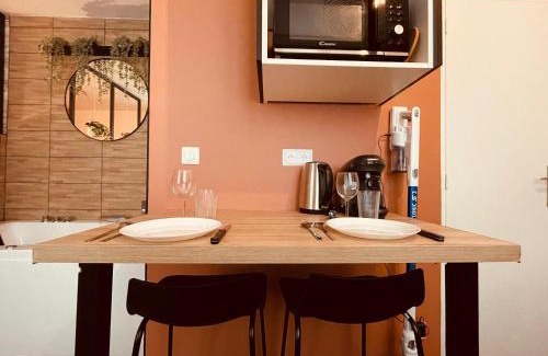 Centre Ville Rive Gauche Apartamento | Appartement Balneo The Notebook -303