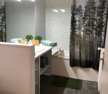 Lons-le-Saunier Apartamento | Appartement BELLO , ruelle au cœur de ville, arrivée en autonomie