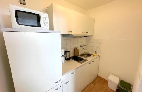 Geyersberg Apartamento | Appartement Bernhard im Bayerischen Wald