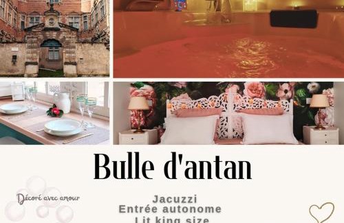 Castres Apartamento | Appartement Bulle d'antan en cœur de ville - Monument classé historique - Grand Jaccuzi