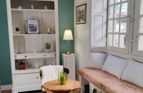 Castres Apartamento | Appartement Bulle d'antan en cœur de ville - Monument classé historique - Grand Jaccuzi