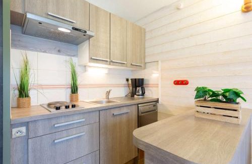Saint-Lary-Soulan Apartamento | Appartement calme proche centre Saint-Lary avec parking et navette gratuite - FR-1-296-509