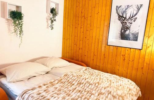 Saint-Pierre-de-Clages Apartamento | Appartement central Free Parking