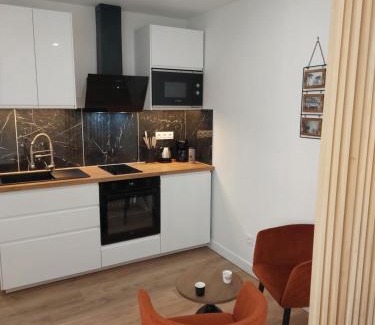 Langres Apartamento | Appartement, centre Langres 2