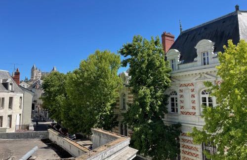 Saumur Apartamento | Appartement centre ville climatisé vue Château