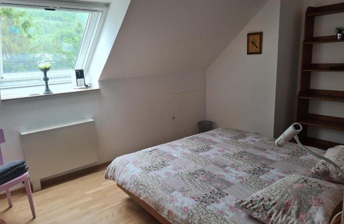 Busingen am Hochrhein Apartamento | Appartement Paradiso
