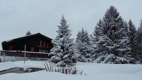 Les Mosses Apartamento | Appartement Chantilu