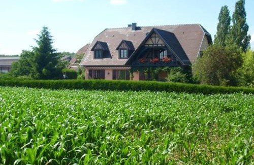 Hochfelden Apartamento | Appartement charmant à Hochfelden - 100 m² et parking gratuit