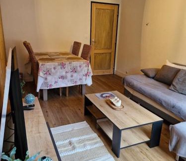 Schirmeck Apartamento | Appartement cocooning