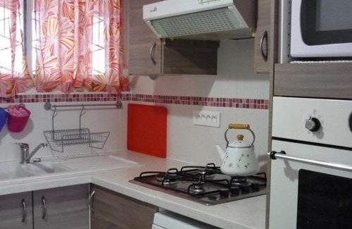 Pyrenees 2000 Apartamento | Appartement cosy 2 pièces cabine, proche commerces et pistes, 6 pers, animaux OK - FR-1-592-20