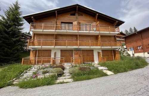 Les Saisies Apartamento | Appartement cosy 2 pièces - Proche pistes - Terrasse sud - 4 pers - FR-1-810-24