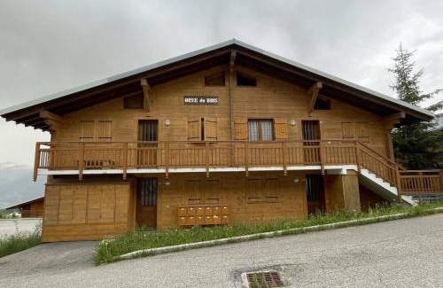 Les Saisies Apartamento | Appartement cosy 2 pièces - Proche pistes - Terrasse sud - 4 pers - FR-1-810-24