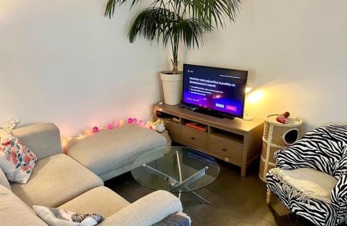 La Wantzenau Apartamento | Appartement Cosy & Confort - Jardin