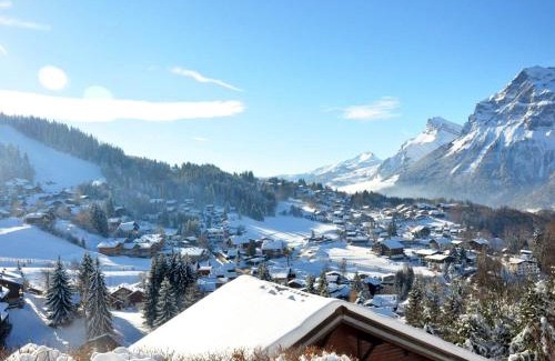 Les Carroz-d'Araches Apartamento | Appartement cosy 6 personnes avec garage, terrasse et wifi au cœur du village, proche pistes et commerces - FR-1-572-251