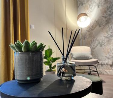 La Chatre Apartamento | Appartement Cosy