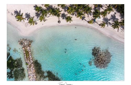 Sainte-Anne Apartamento | Appartement cosy, les pieds dans l'eau !