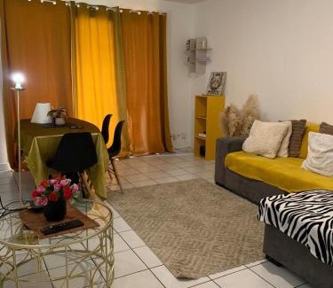 Centre Ville Rive Gauche Apartamento | Appartement Cosy rive gauche
