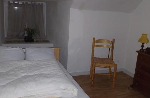 Saint-Martin-des-Plains Apartamento | appartement dans un château