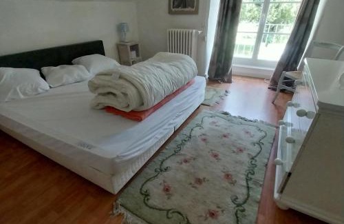 Saint-Martin-des-Plains Apartamento | appartement dans un château