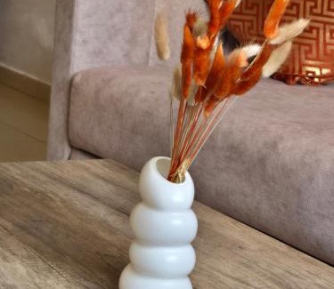 Ifrane Apartamento | Appartement de luxe