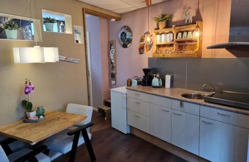 Lemmer Apartamento | Appartement De Oliekan Small