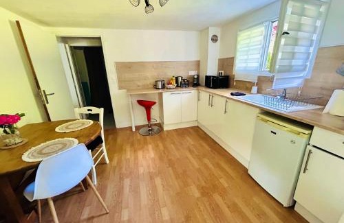 Chatillon-sur-Indre Apartamento | Appartement entrée privative, terrasse et jardin