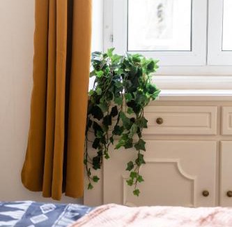 Mulhouse Apartamento | Appartement entièrement rénové et cosy avec jardin