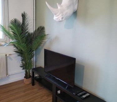 Quartier Saint-Leon Apartamento | Appartement entier Colmar