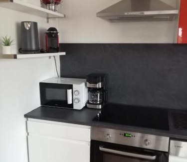 Quartier Saint-Leon Apartamento | Appartement entier Colmar