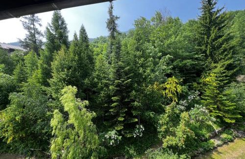 Allos Apartamento | Appartement entier duplex 34m2 au seignus Allos