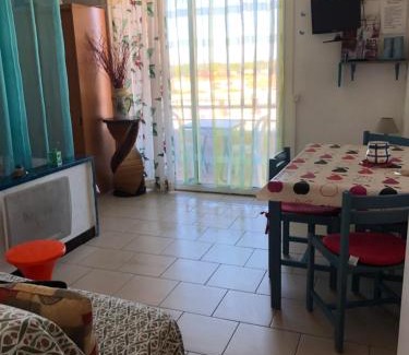 Saint-Cyprien Plage Apartamento | Appartement face à la mer