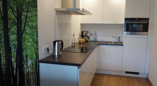 Niedersfeld Apartamento | Appartement Familie Willems Winterberg 2