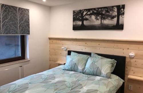 Niedersfeld Apartamento | Appartement Familie Willems Winterberg 3